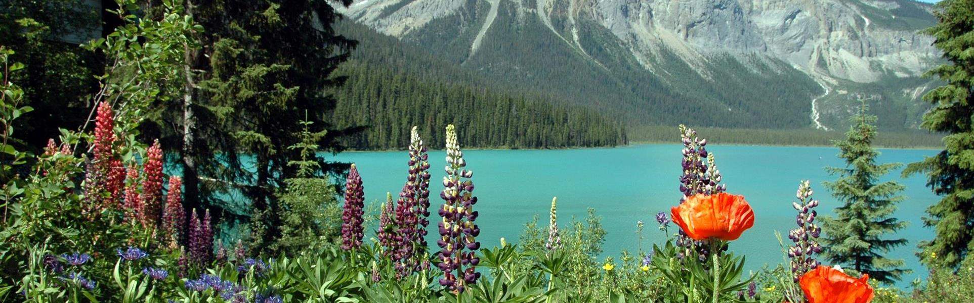 Western Canada Fly Drive Holidays - Best at Travel